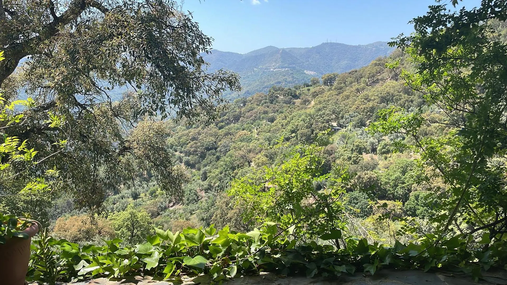 Ematejo Villa Genalguacil
